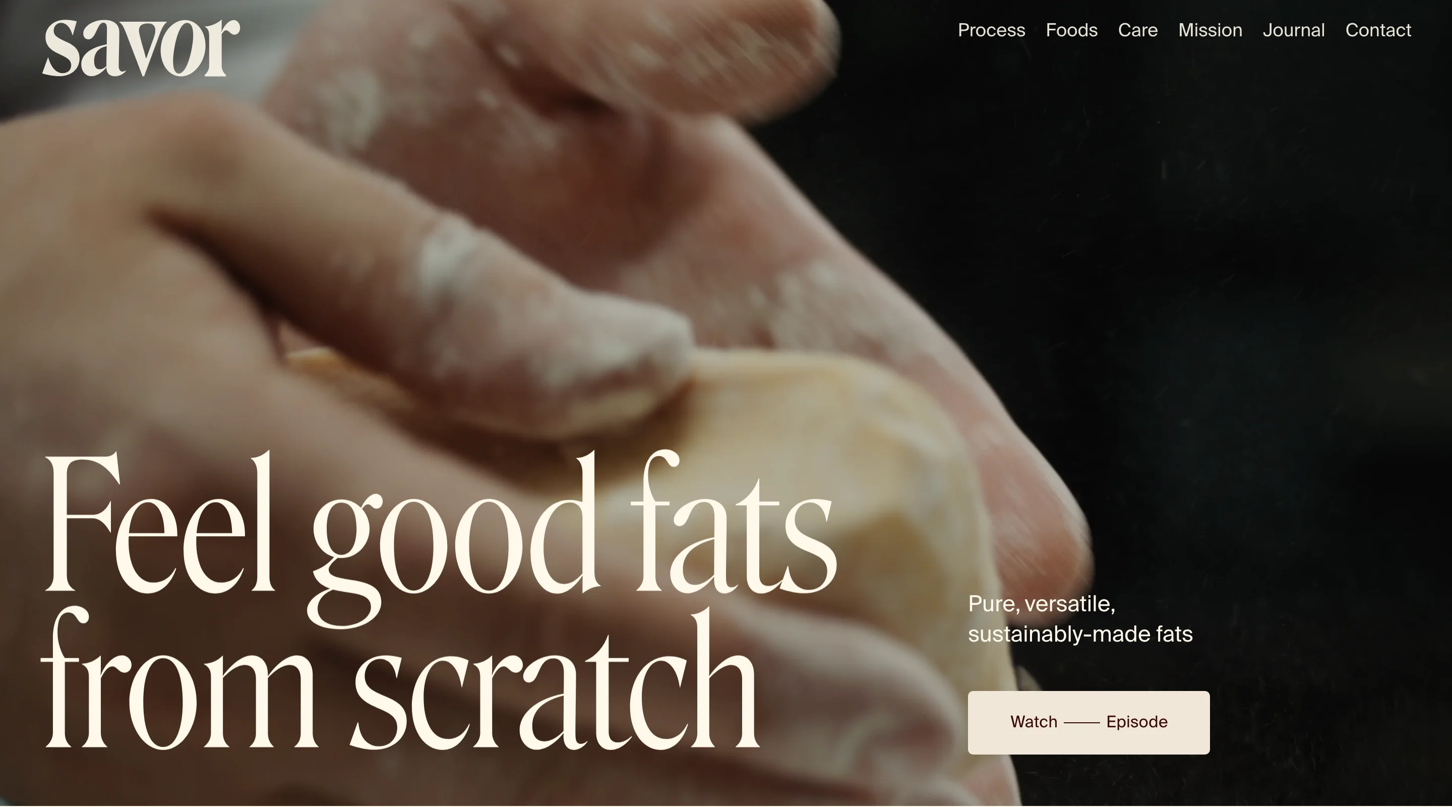 Webdesign von Savor — branding